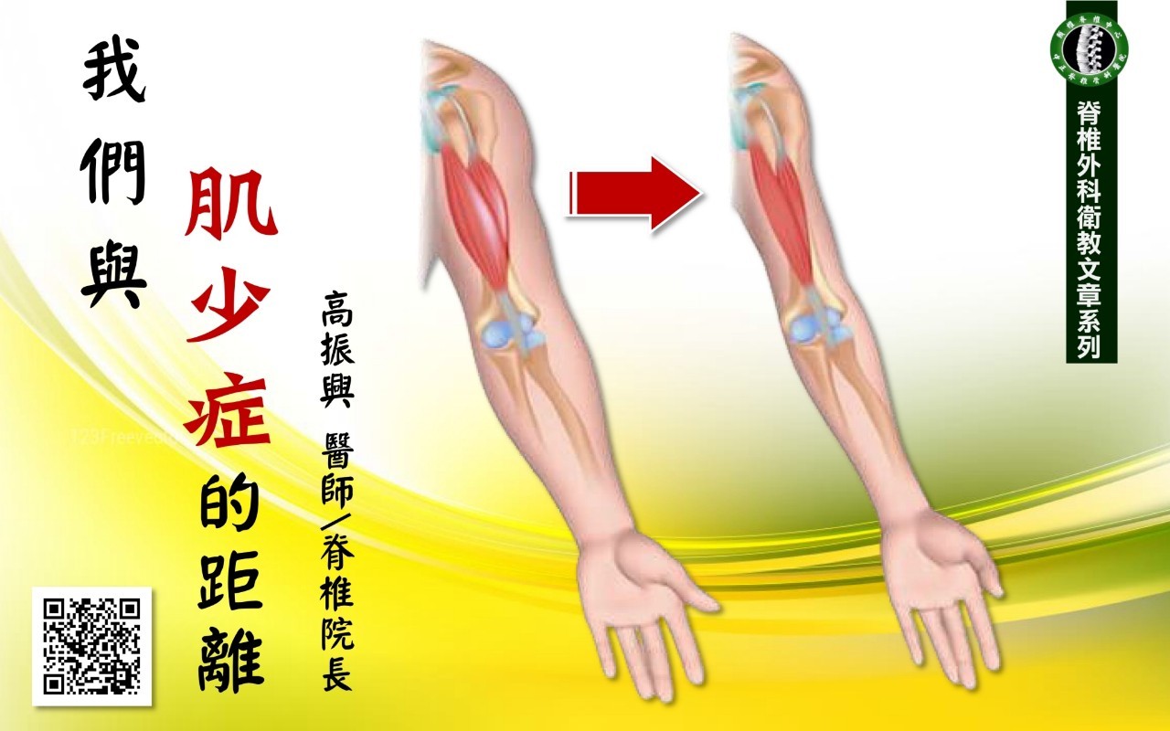 頸椎手術影像 94
