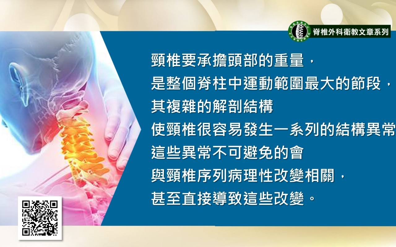 頸椎手術影像 87