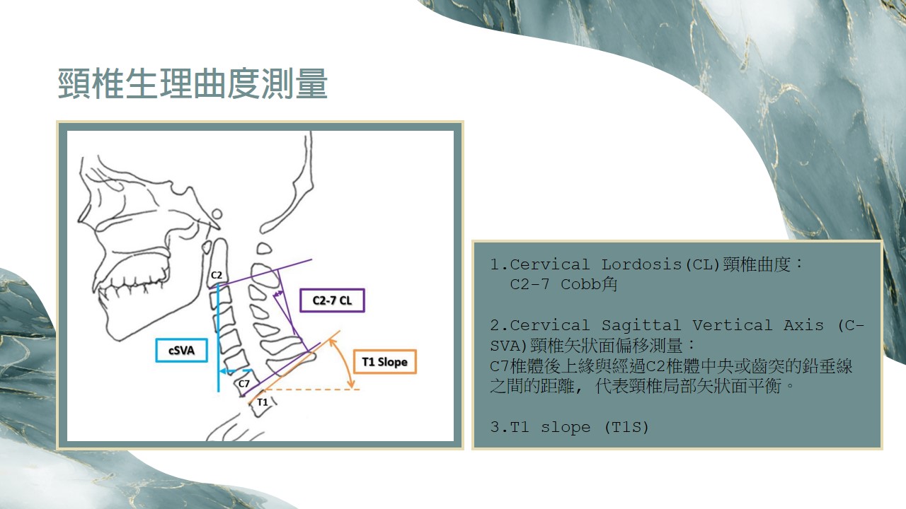 頸椎示意圖