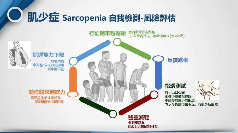 肌少症示意圖 03