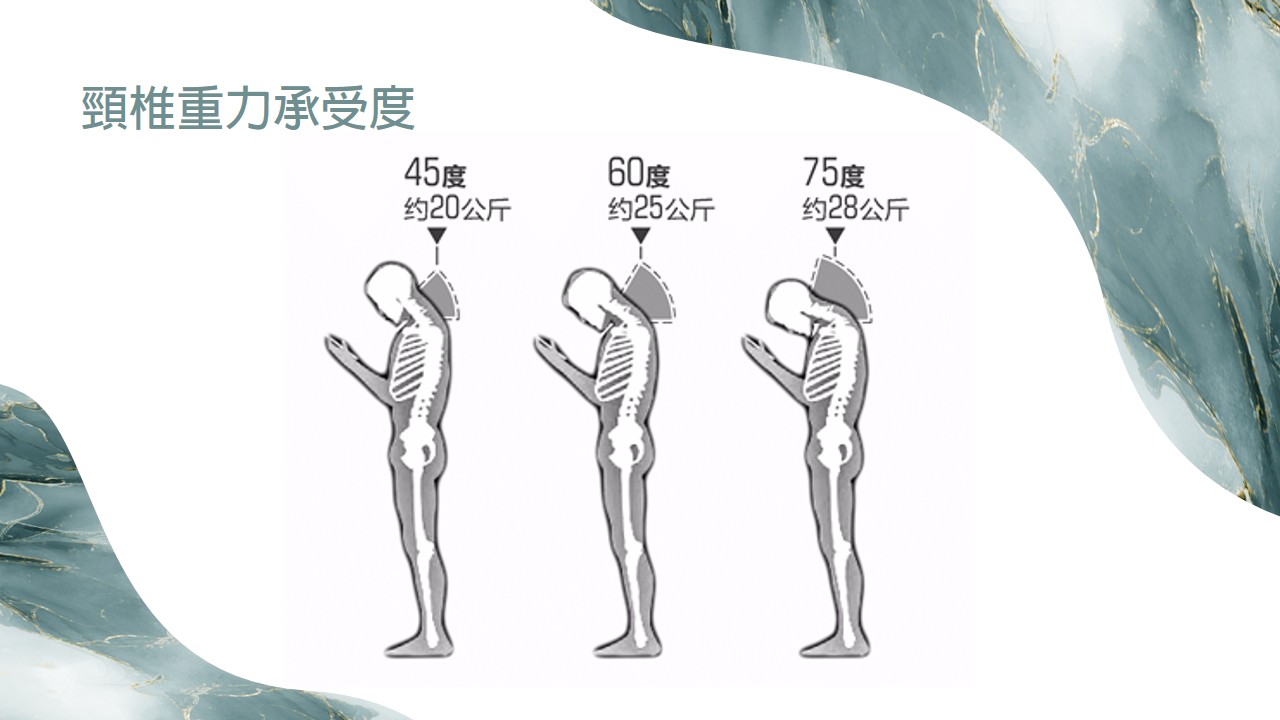 頸椎重力承受度示意圖